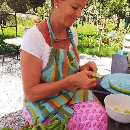 Darjas Yurtas El Morisco Glamping *