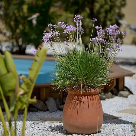 Glamping Darjas Yurtas El Morisco Benajarafe